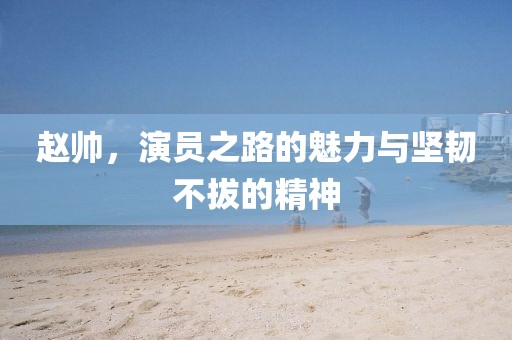 赵帅，演员之路的魅力与坚韧不拔的精神