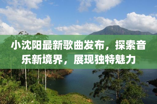 小沈阳最新歌曲发布，探索音乐新境界，展现独特魅力
