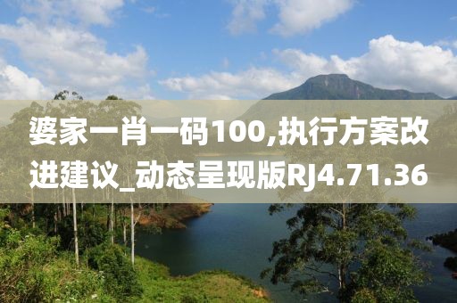 婆家一肖一码100,执行方案改进建议_动态呈现版RJ4.71.36