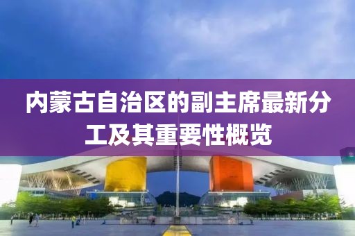 内蒙古自治区的副主席最新分工及其重要性概览