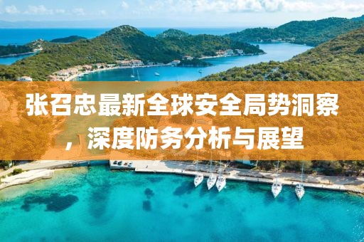 张召忠最新全球安全局势洞察，深度防务分析与展望