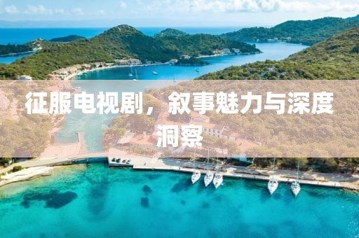 征服电视剧，叙事魅力与深度洞察