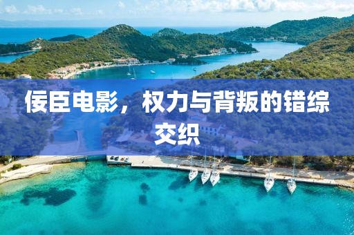 佞臣电影，权力与背叛的错综交织