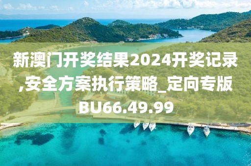 新澳门开奖结果2024开奖记录,安全方案执行策略_定向专版BU66.49.99
