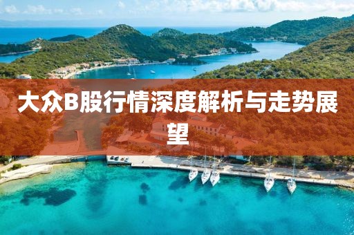 大众B股行情深度解析与走势展望