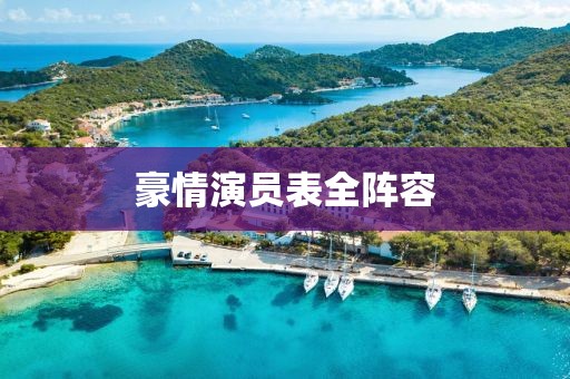 豪情演员表全阵容