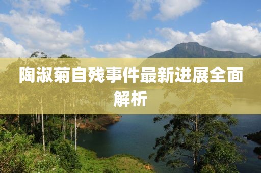 陶淑菊自残事件最新进展全面解析
