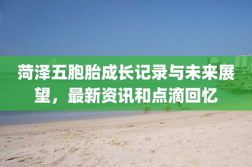 菏泽五胞胎成长记录与未来展望，最新资讯和点滴回忆