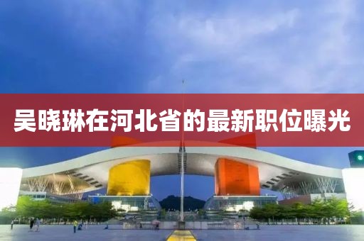吴晓琳在河北省的最新职位曝光