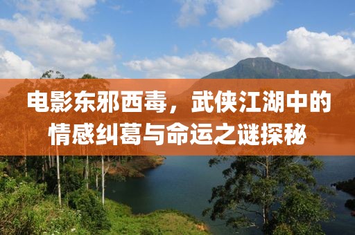 电影东邪西毒，武侠江湖中的情感纠葛与命运之谜探秘