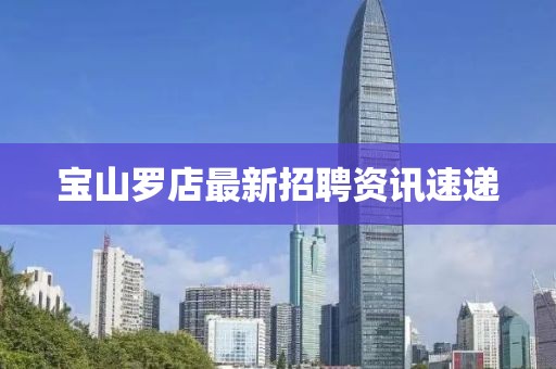 宝山罗店最新招聘资讯速递