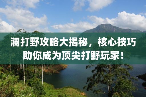 澜打野攻略大揭秘，核心技巧助你成为顶尖打野玩家！