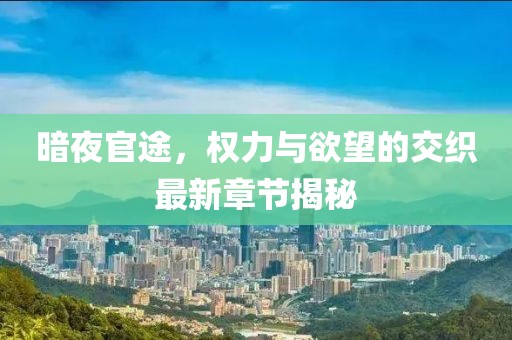 暗夜官途，权力与欲望的交织最新章节揭秘