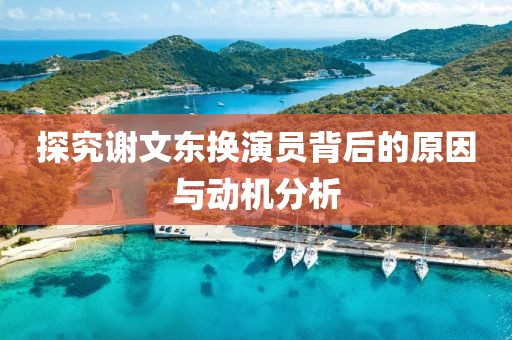 探究谢文东换演员背后的原因与动机分析