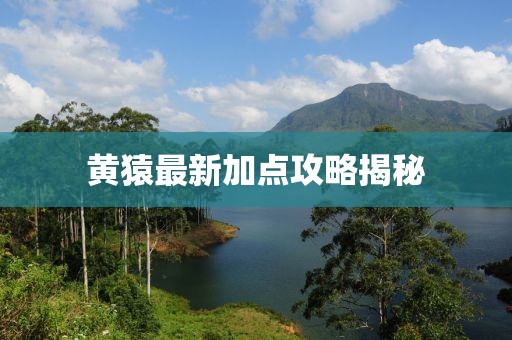 黄猿最新加点攻略揭秘