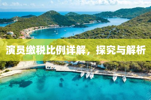 演员缴税比例详解，探究与解析