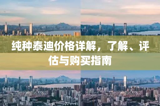 纯种泰迪价格详解，了解、评估与购买指南