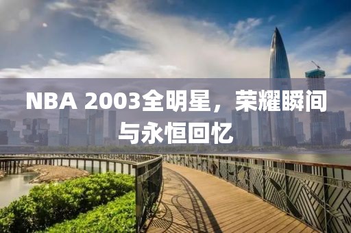 NBA 2003全明星，荣耀瞬间与永恒回忆