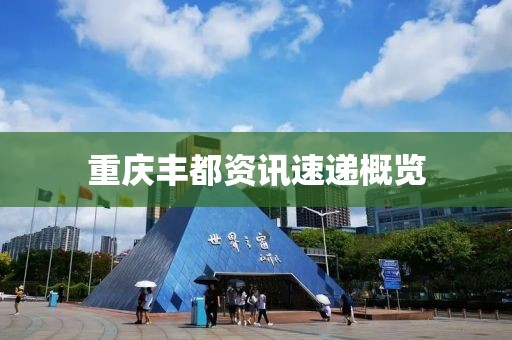 重庆丰都资讯速递概览