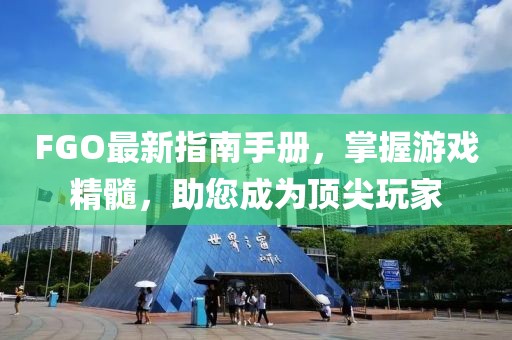FGO最新指南手册，掌握游戏精髓，助您成为顶尖玩家