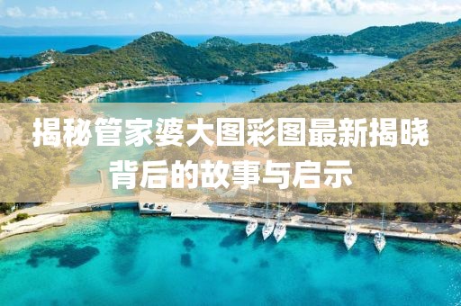 揭秘管家婆大图彩图最新揭晓背后的故事与启示