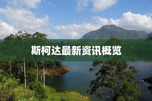 斯柯达最新资讯概览