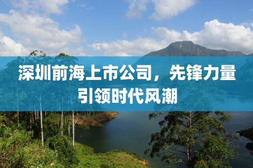 深圳前海上市公司，先锋力量引领时代风潮
