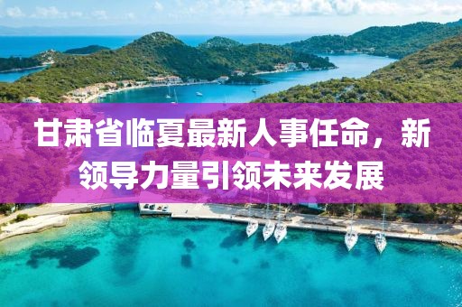 甘肃省临夏最新人事任命，新领导力量引领未来发展
