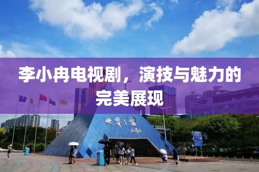 李小冉电视剧，演技与魅力的完美展现