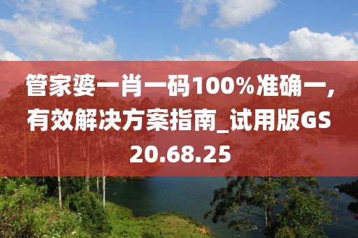 管家婆一肖一码100%准确一,有效解决方案指南_试用版GS20.68.25