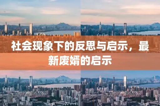 社会现象下的反思与启示，最新废婿的启示