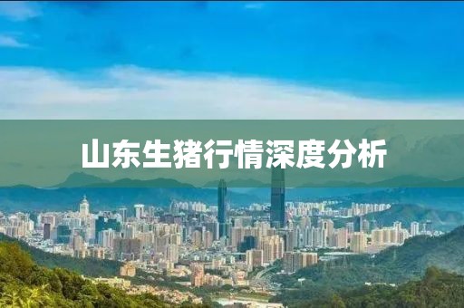 山东生猪行情深度分析
