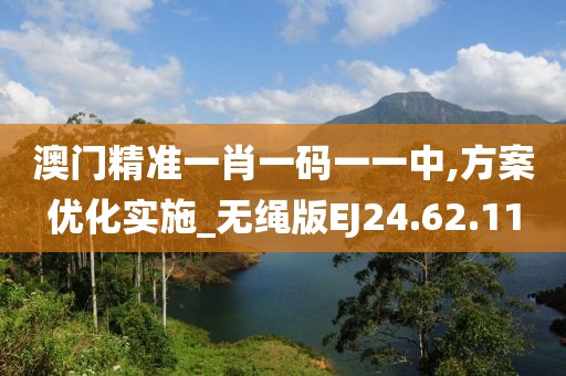 澳门精准一肖一码一一中,方案优化实施_无绳版EJ24.62.11