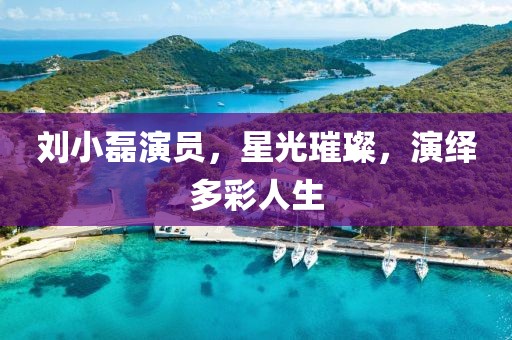 刘小磊演员，星光璀璨，演绎多彩人生