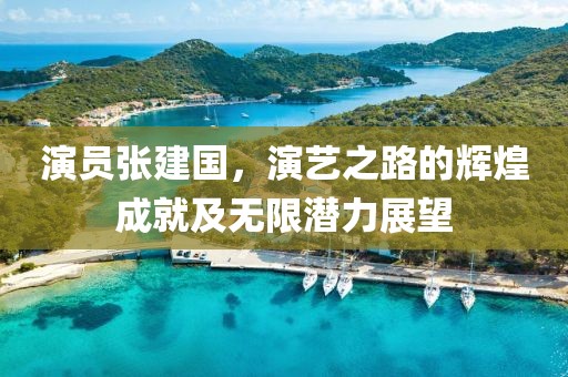 演员张建国，演艺之路的辉煌成就及无限潜力展望