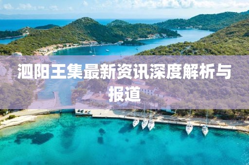 泗阳王集最新资讯深度解析与报道