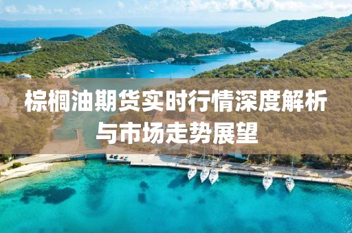 棕榈油期货实时行情深度解析与市场走势展望