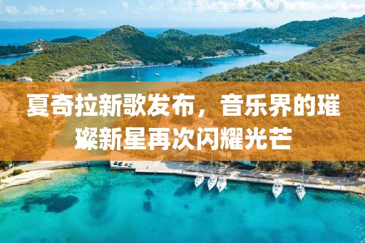 夏奇拉新歌发布，音乐界的璀璨新星再次闪耀光芒