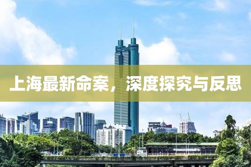 上海最新命案，深度探究与反思