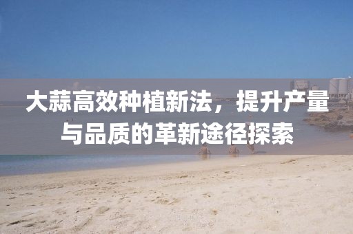 大蒜高效种植新法，提升产量与品质的革新途径探索
