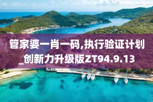 管家婆一肖一码,执行验证计划_创新力升级版ZT94.9.13