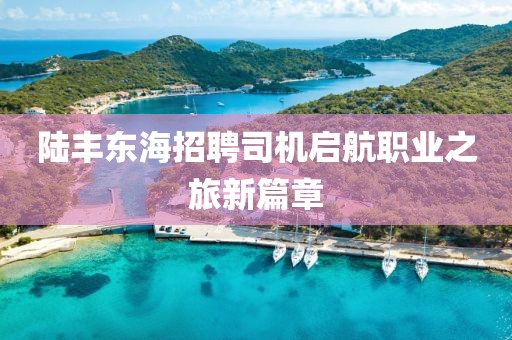 陆丰东海招聘司机启航职业之旅新篇章