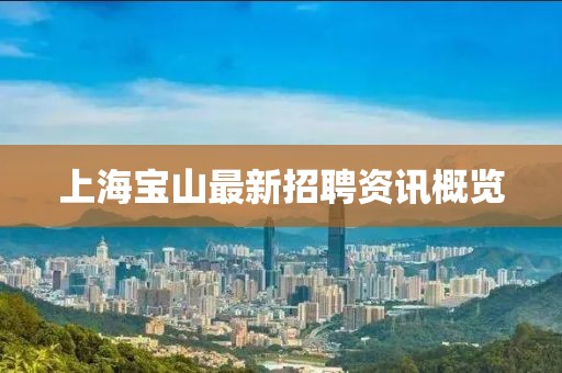 上海宝山最新招聘资讯概览