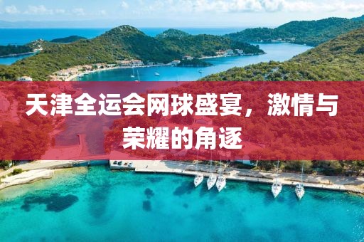 天津全运会网球盛宴，激情与荣耀的角逐