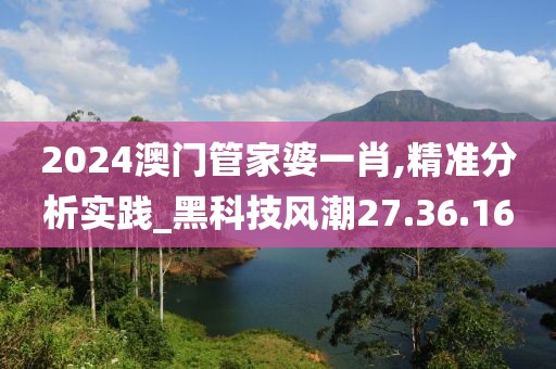 2024澳门管家婆一肖,精准分析实践_黑科技风潮27.36.16