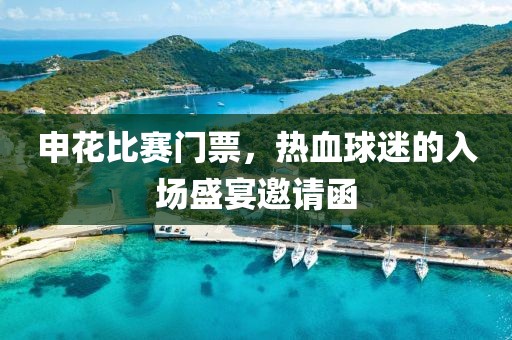 申花比赛门票，热血球迷的入场盛宴邀请函