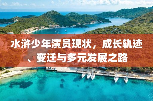 水浒少年演员现状，成长轨迹、变迁与多元发展之路