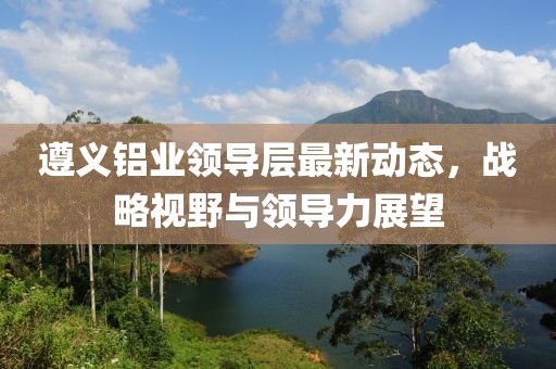 遵义铝业领导层最新动态，战略视野与领导力展望