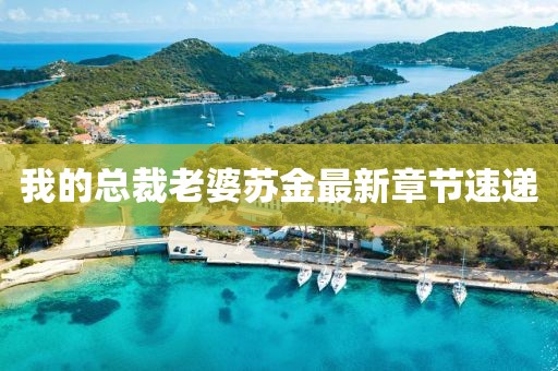我的总裁老婆苏金最新章节速递