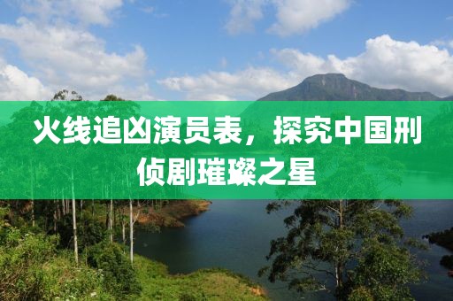 火线追凶演员表，探究中国刑侦剧璀璨之星